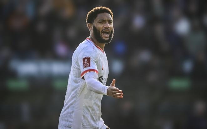 马的训练计 马的训练计