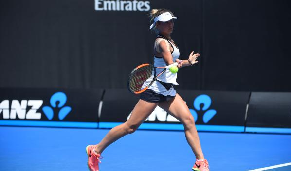 暖色与兽纹 暖色与兽纹